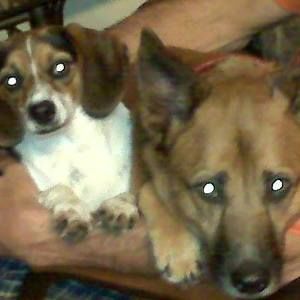 Meet your Posher, Joan